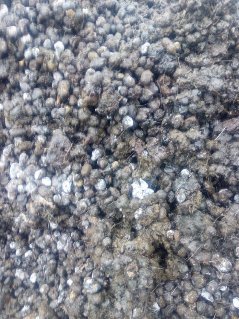 羊粪有机肥，场地直接发货........