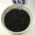 薰衣草种子