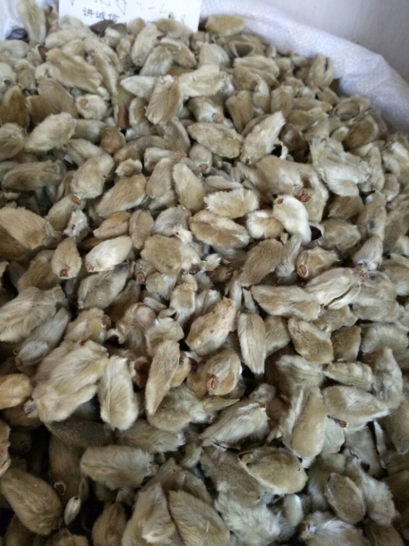 辛夷大花河南干货2斤起包邮量大从优各种规格
