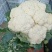白面青梗松花菜2斤松散米黄