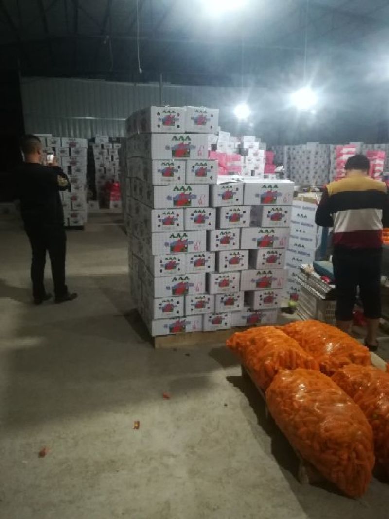 三红胡萝卜4两以上水洗10厘米以上橙