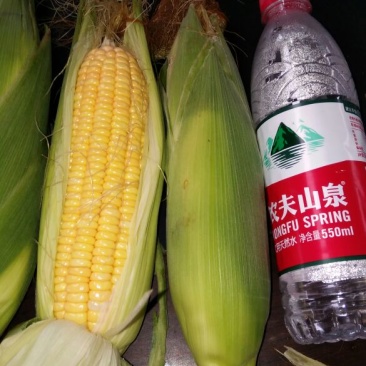鲜玉米2%