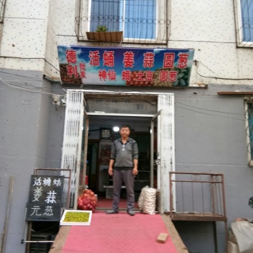 茧蛹