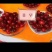 樱桃树10cm以下