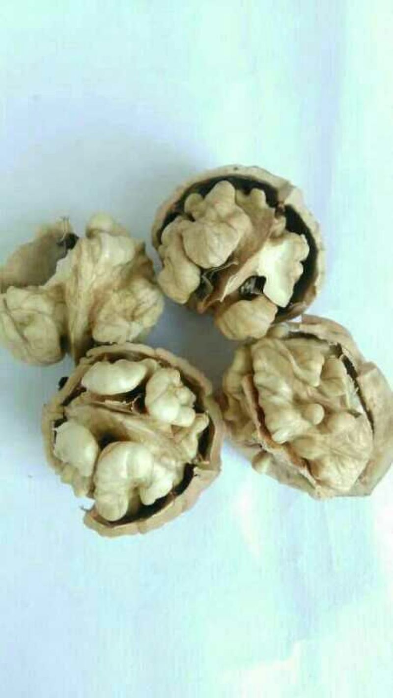 甘肃陇南老树核桃去皮25~30mm干