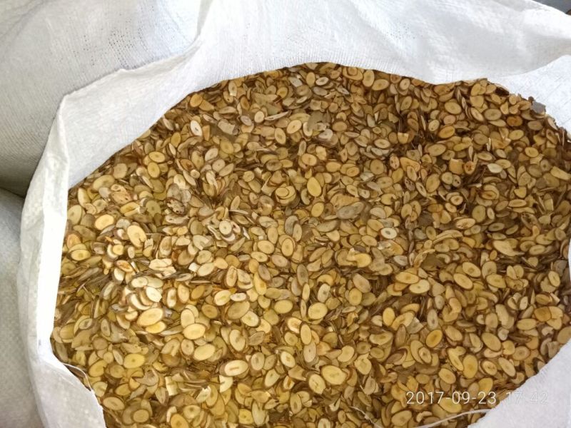桂枝中粒