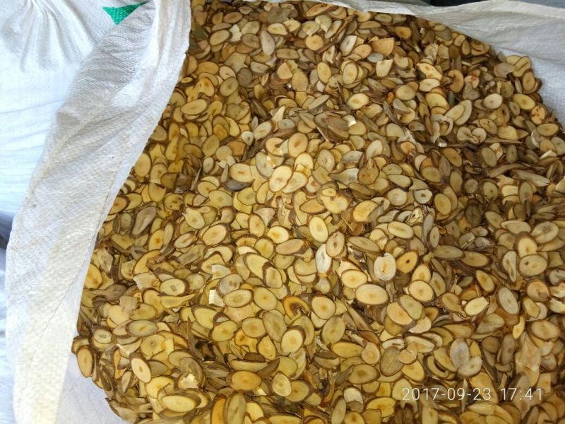 桂枝中粒