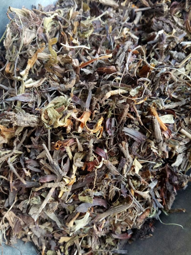 甘松青海干货量大从优欢迎选购