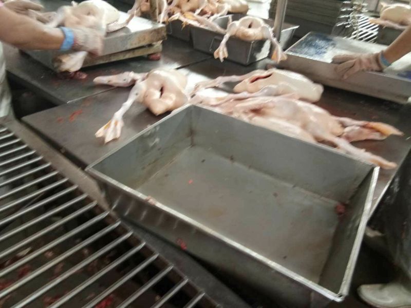 鸭肉