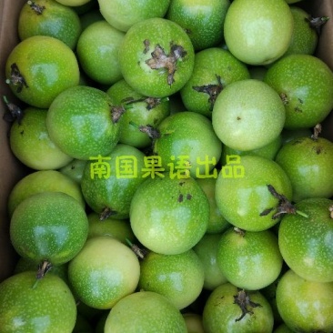 黄金百香果60~70g黄果