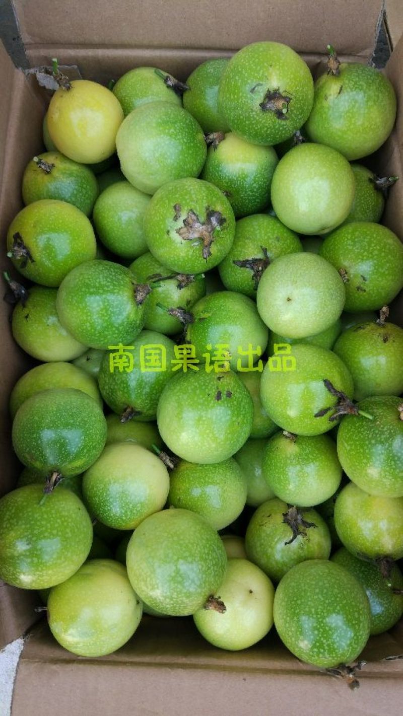 黄金百香果60~70g黄果