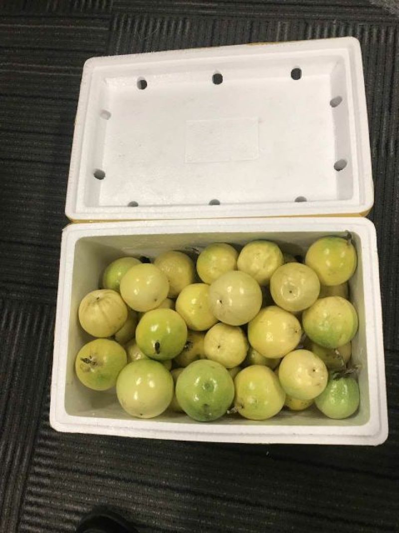 黄金百香果60~70g黄果