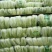大白菜4~6斤净菜