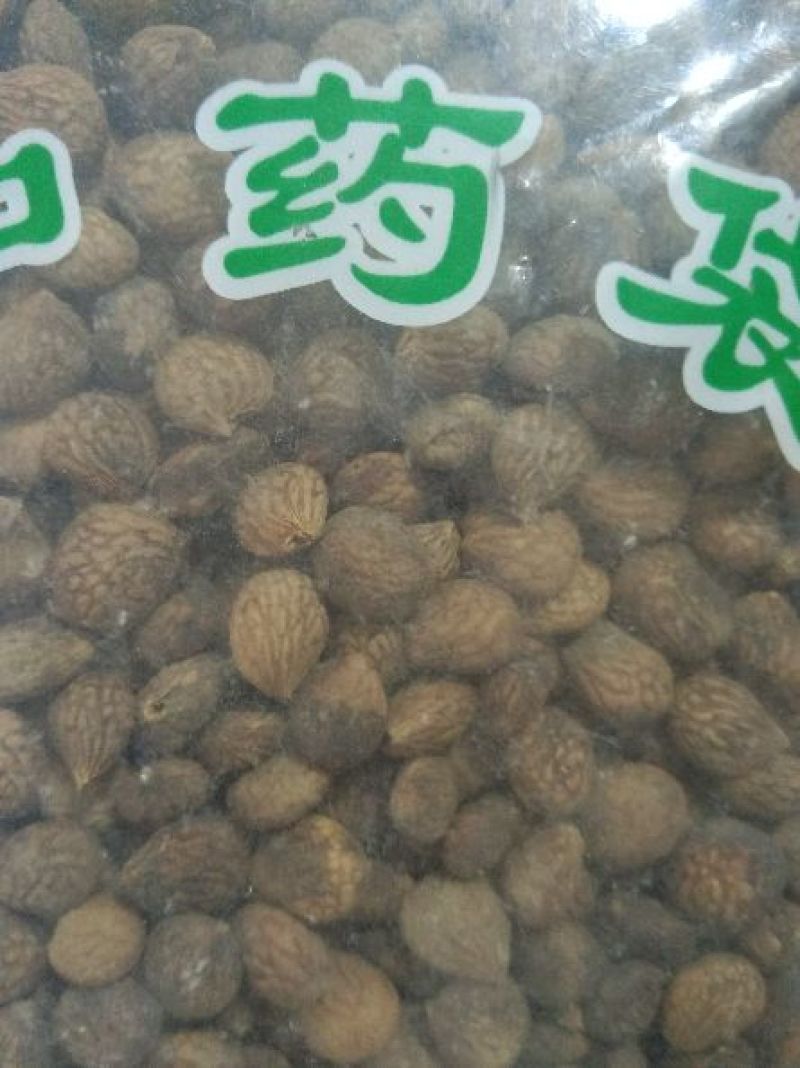 蕤仁