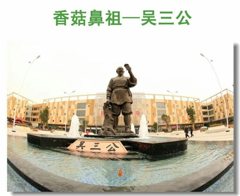 黑木耳一级