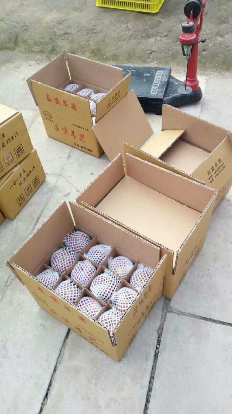 花牛70mm以上纸+膜袋