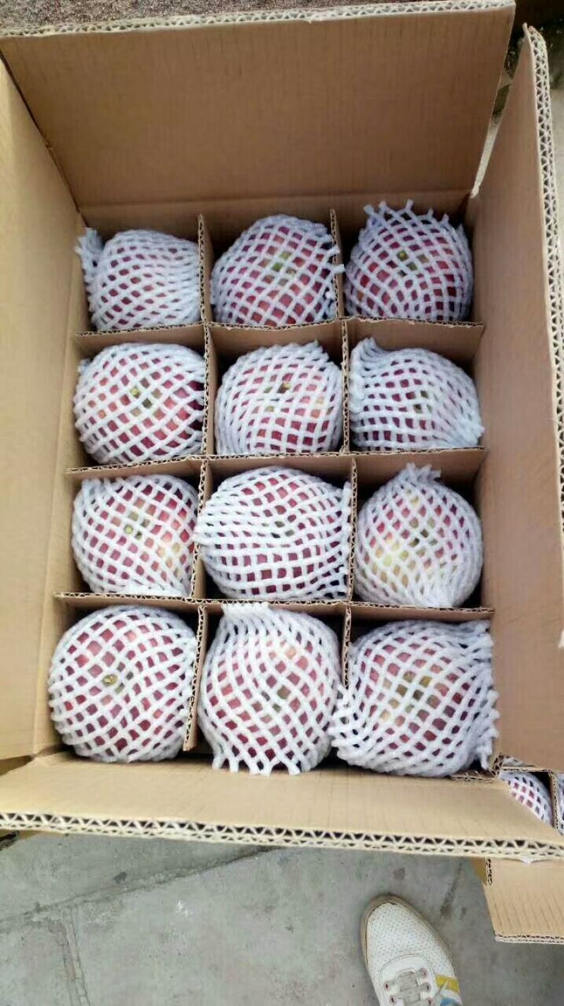 花牛70mm以上纸+膜袋