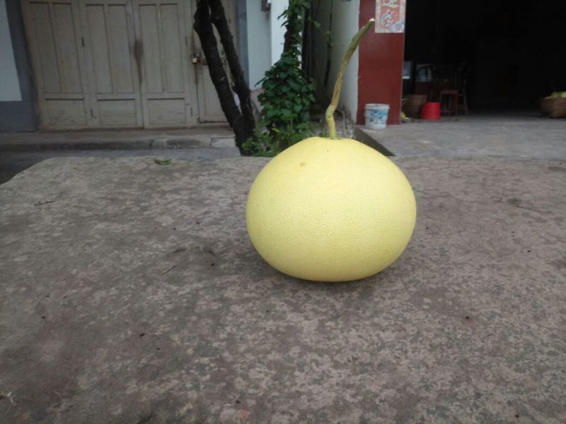 蜜柚2斤以上