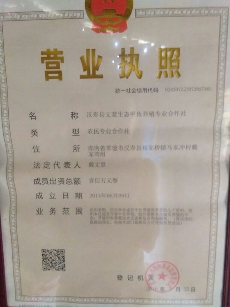 中华鳖殖专业合作社常年直供中华鳖苗，甲鱼苗，团鱼苗种。