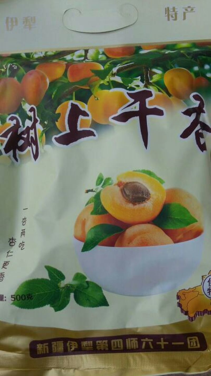 杏仁树上干杏的杏仁