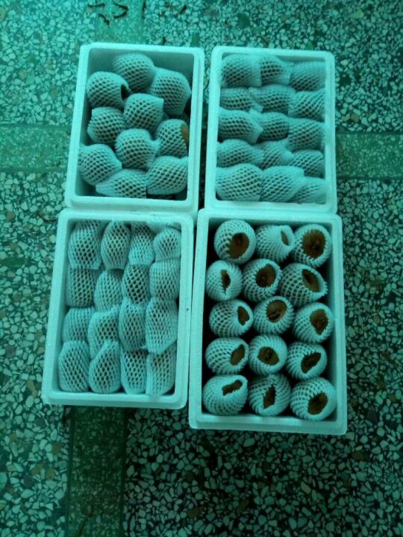 翠香猕猴桃90~100克