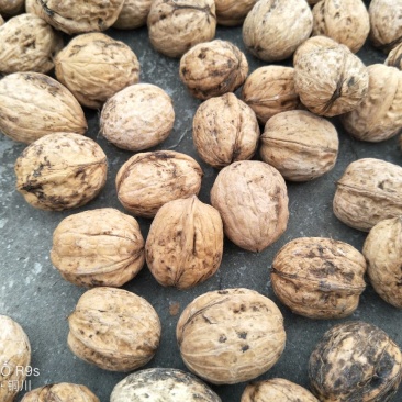 薄皮核桃去皮30mm以上干