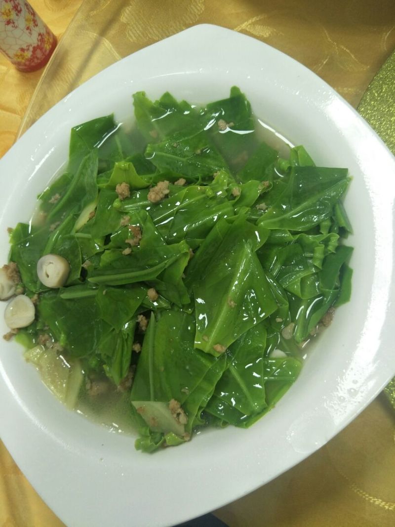 鸟巢蕨苗