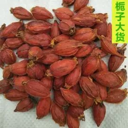 惠州东景农贸黄栀子批发_艳芳供应_一亩田农