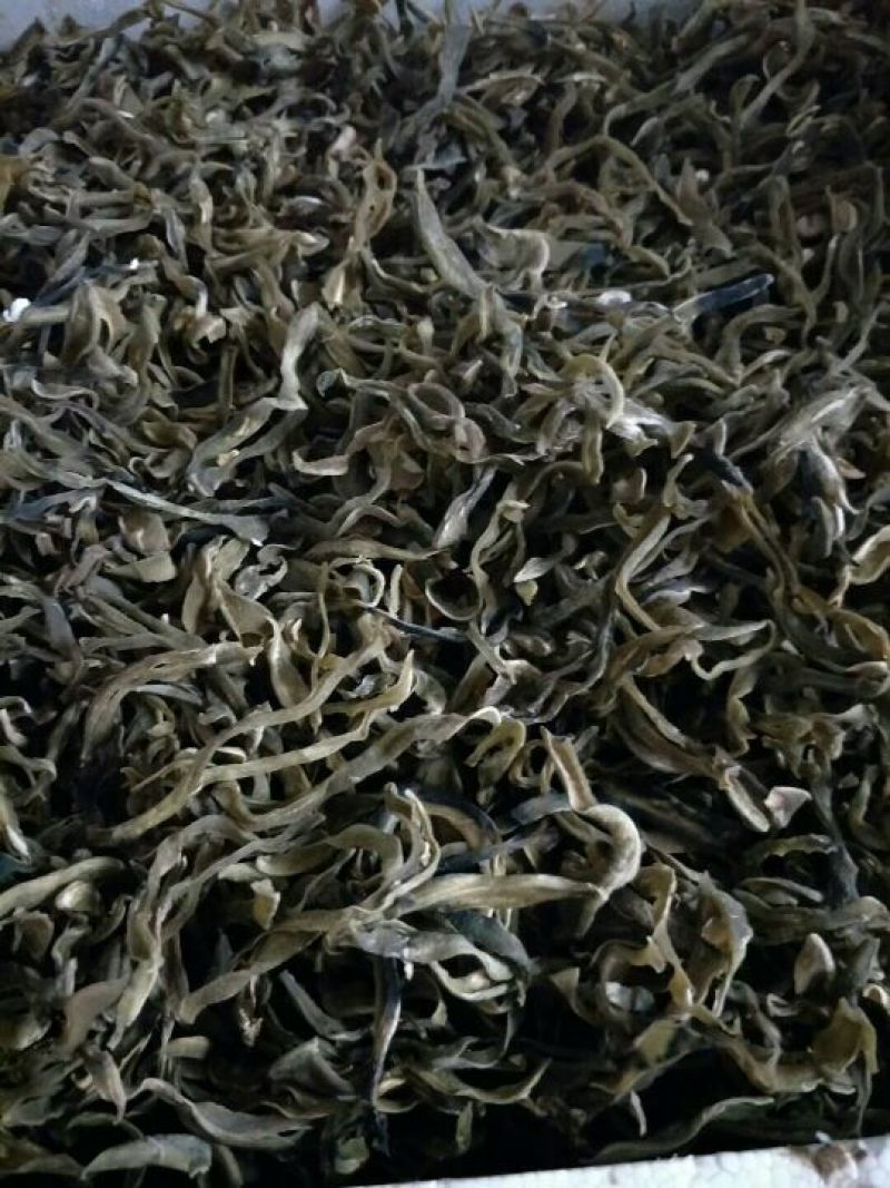 狗爪豆