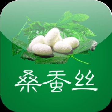 蚕丝