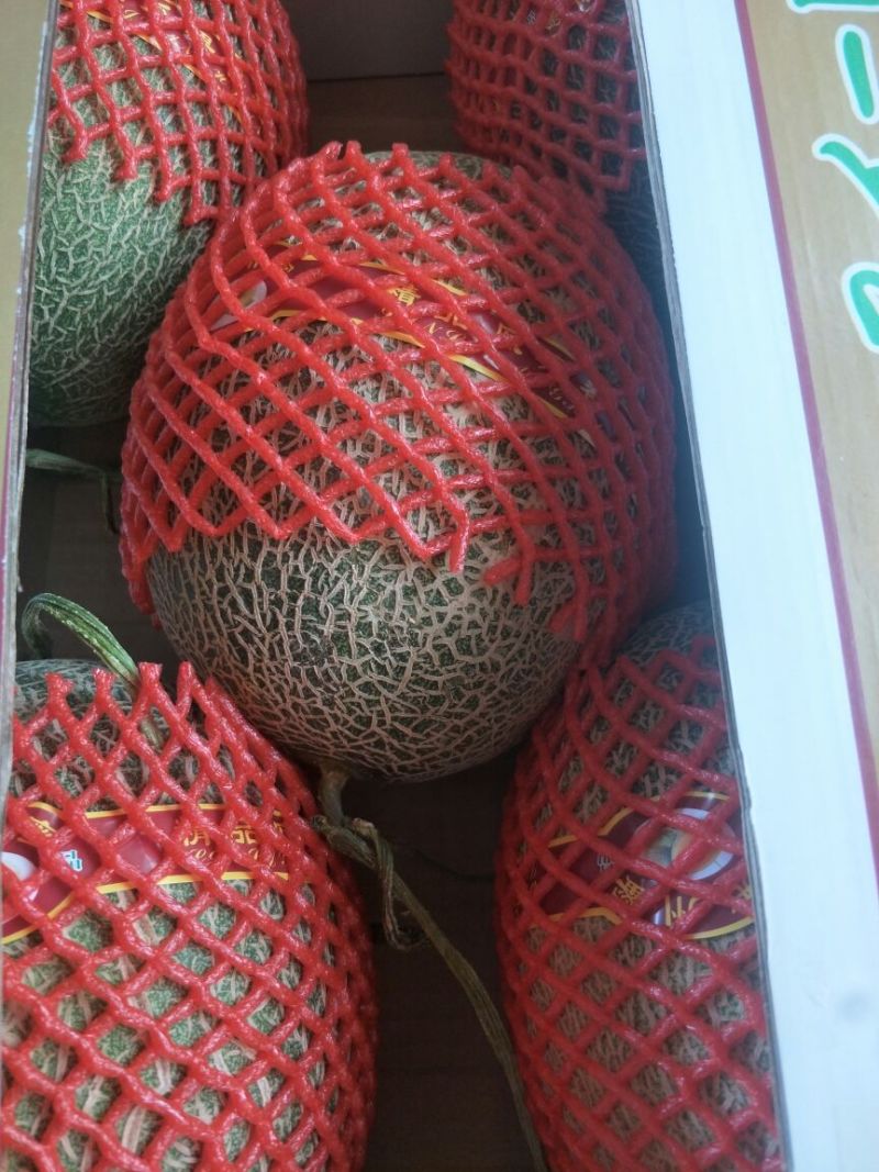 西州蜜瓜3斤以上椭圆形