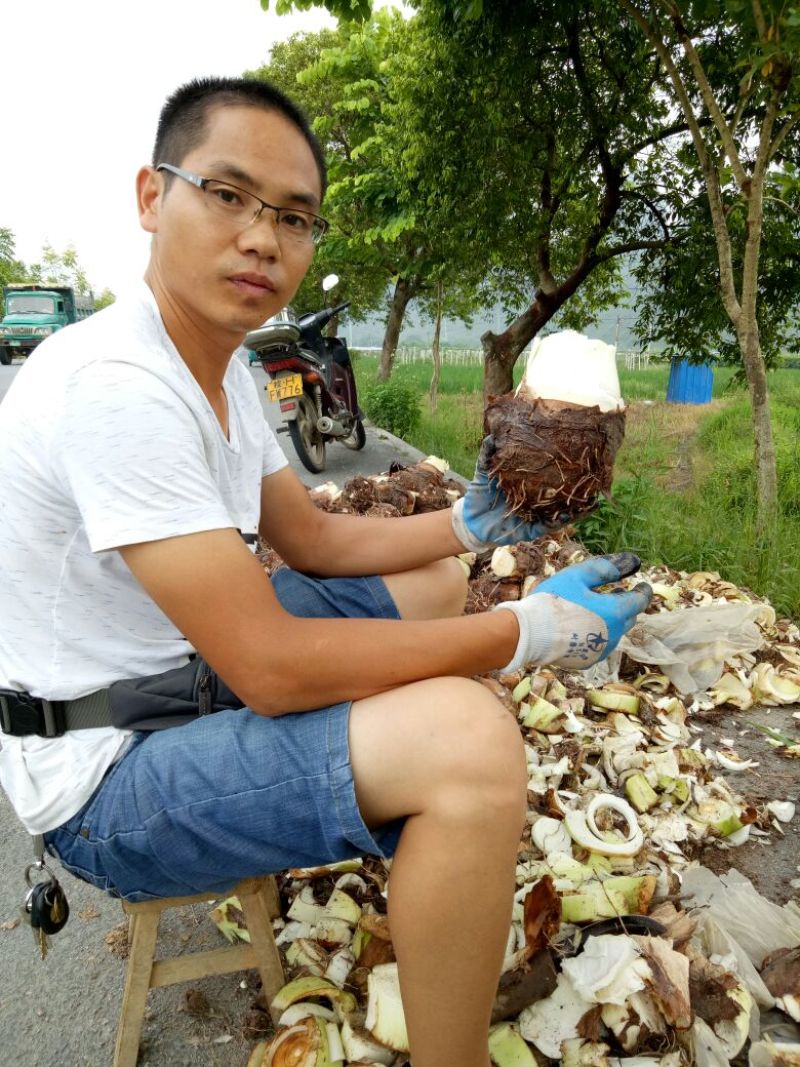 正宗荔浦芋头香芋2斤以上大芋头超市酒店专用