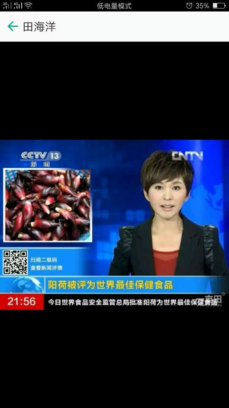襄荷阳荷