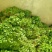 【芹菜苗】法国皇后精品芹菜苗当天拔苗，货源充足