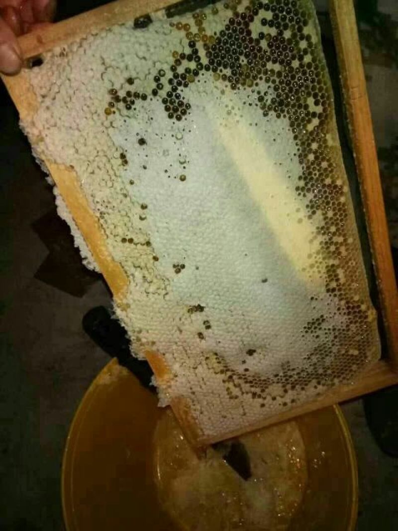 百花蜜百花蜜野花蜜桂蜜