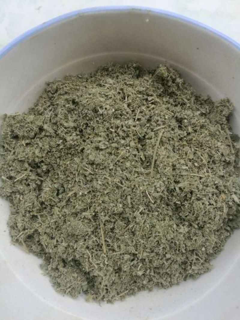 木豆叶大基地云南红河县道地自然晾晒纯叶批零统货月供50吨