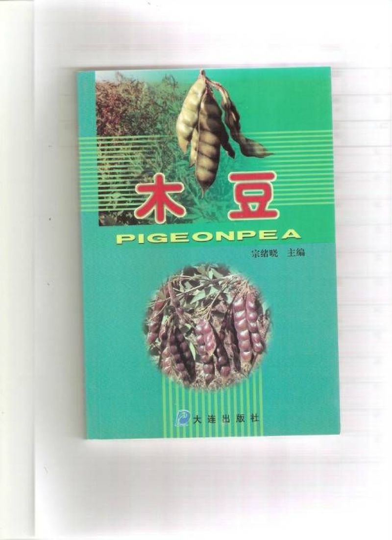 木豆叶大基地云南红河县道地自然晾晒纯叶批零统货月供50吨
