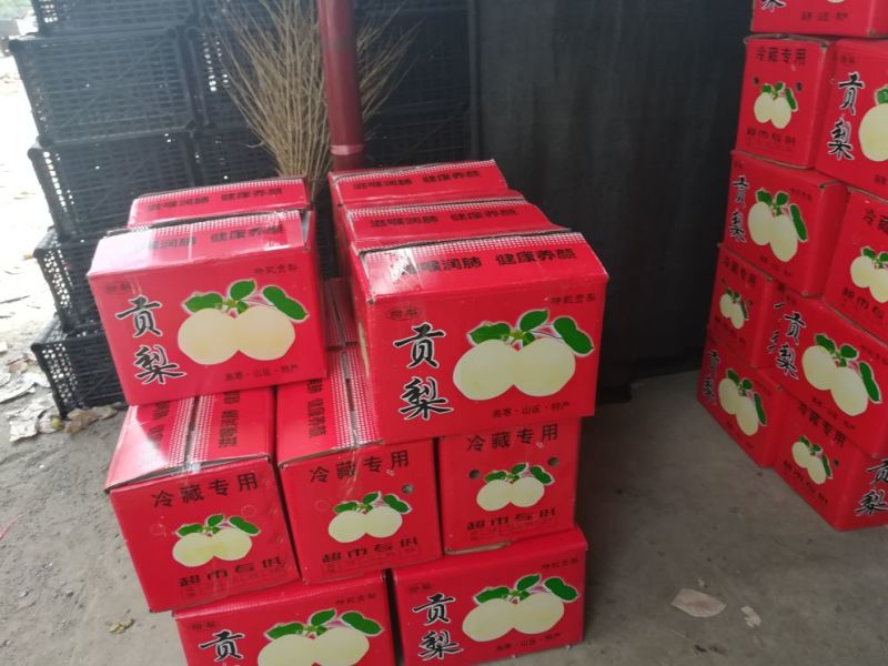 贡梨300~350g纸袋