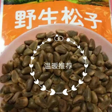 东北松子特级