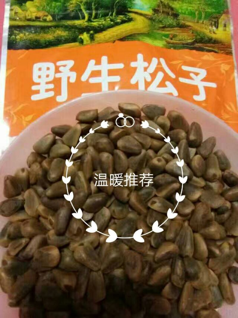 东北松子特级