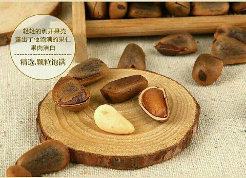 东北松子特级