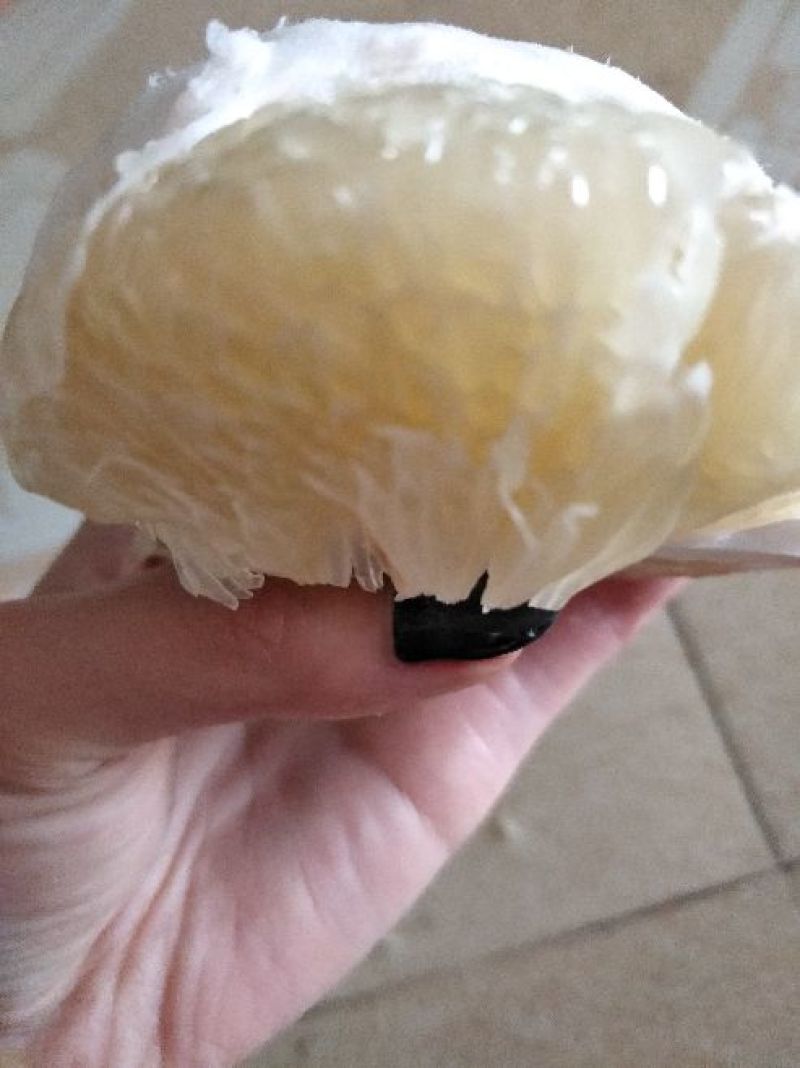 柚子，红心，白心柚子，可供商超，市场，现栽现发