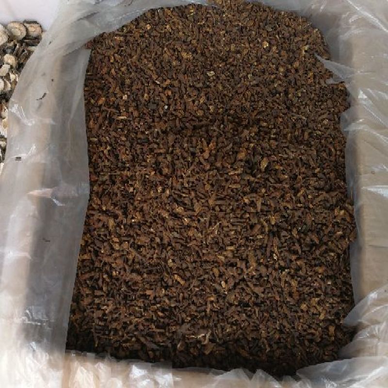 蒲公英根新货蒲公英根茶
