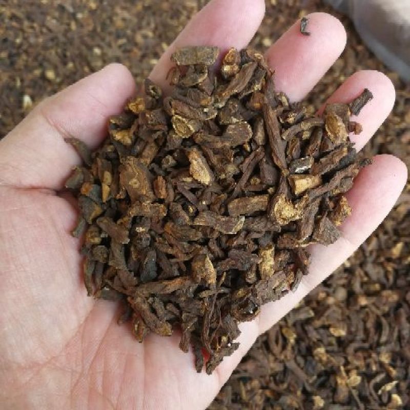 蒲公英根新货蒲公英根茶