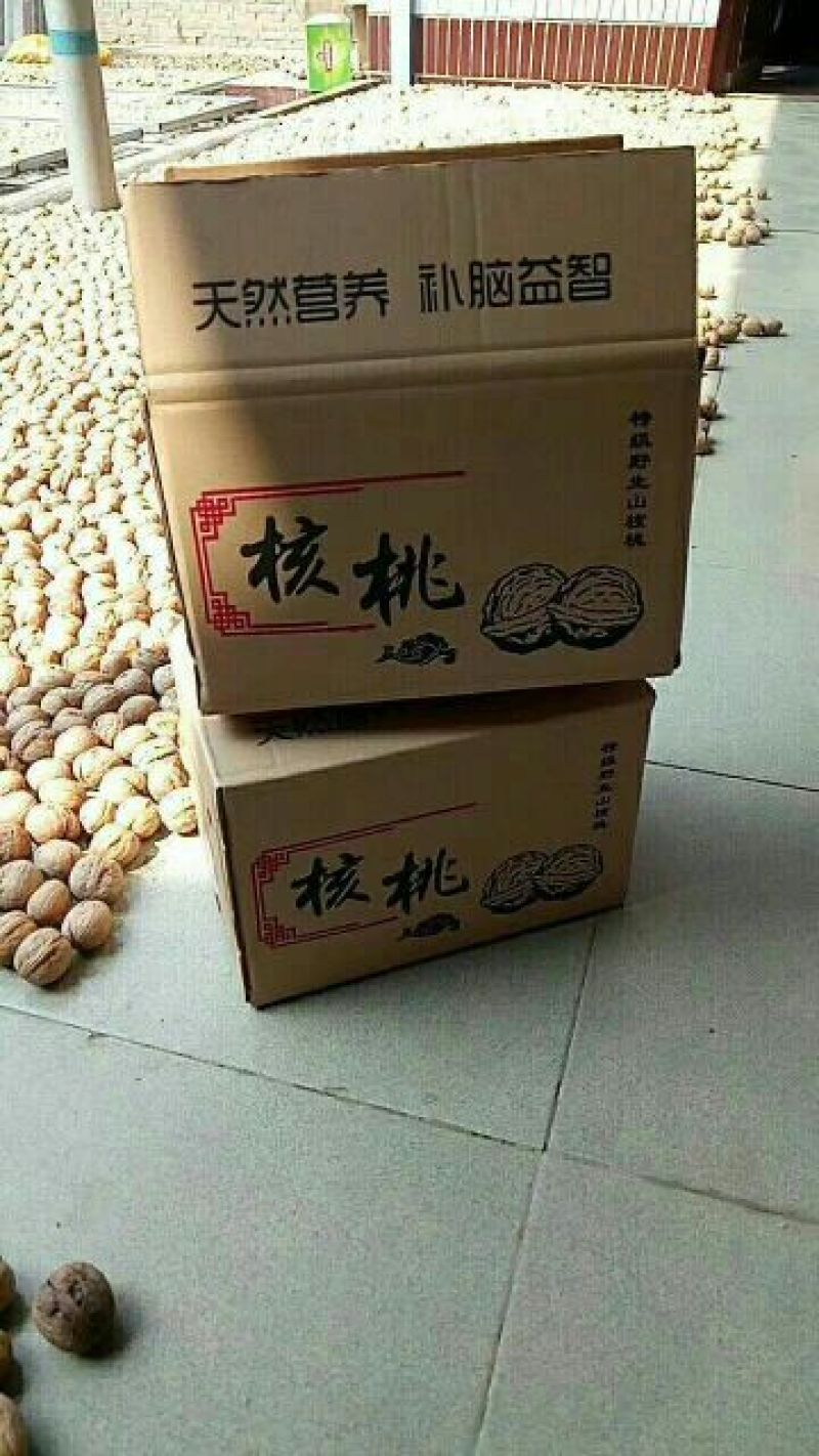 薄皮核桃去皮30mm以上