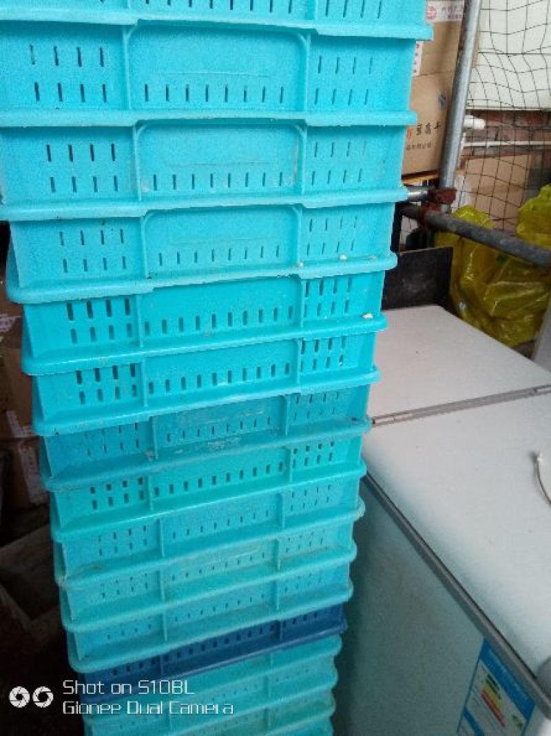 豆腐湿豆腐