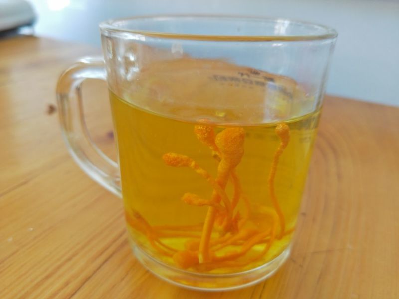 北虫草排孢子头颗颗孢子头靓货虫草花产地直供