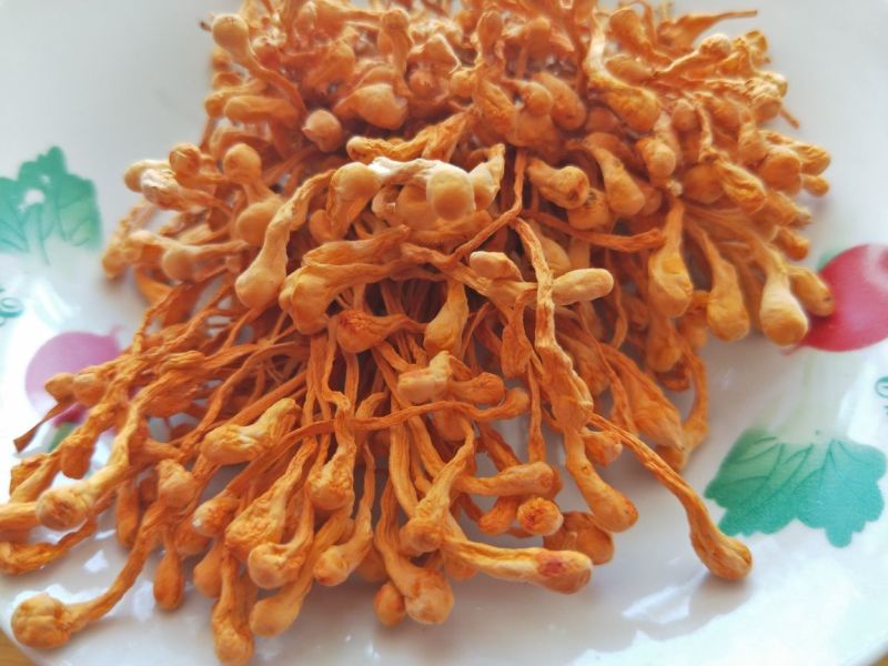 北虫草排孢子头颗颗孢子头靓货虫草花产地直供