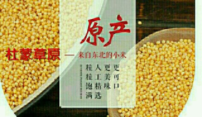 金谷米袋装