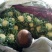 菜花2斤紧密乳白